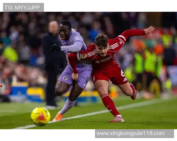 斯洛特谈球迷支持与运气因素布莱顿胜利背后的故事与启示