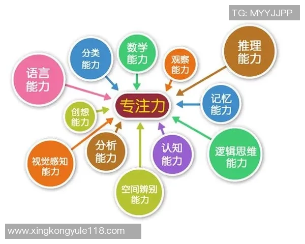 弗拉格：始终保持高能量与专注力的成功秘诀与实践经验分享